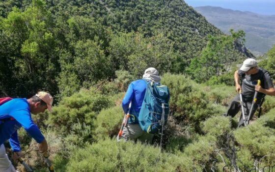 Ε.Ο.Σ. Καλαμάτας: Καθαρισμός μονοπατιού στην περιοχή Πηγαδίων Ταϋγέτου