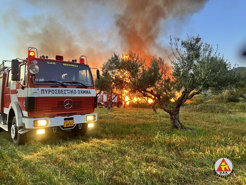 Σε 61 συμβάντα συνέβαλε η Ο.Α.Κ. ΜΕΣΣΗΝΙΑΣ την Αντιπυρική Περιόδου 2024 12