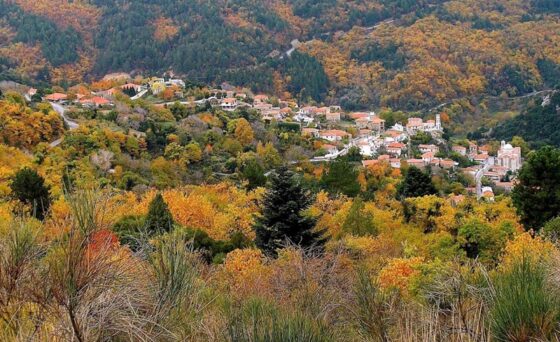 Φθινοπωρινή πεζοπορία για τον Ε.Ο.Σ. Καλαμάτας στη Βαμβακού Λακωνίας