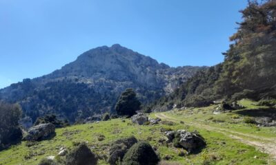 Ανάβαση στο Αρτεμίσιο όρος ο Ε.Ο.Σ. Καλαμάτας 38