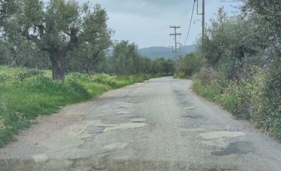 Απαιτείται άμεση παρέμβαση σε Νέα Κορώνη – Χωματερό-Καπλάνι- Φοινικούντα, επικίνδυνος δρόμος για κατοίκους και τουρίστες 23
